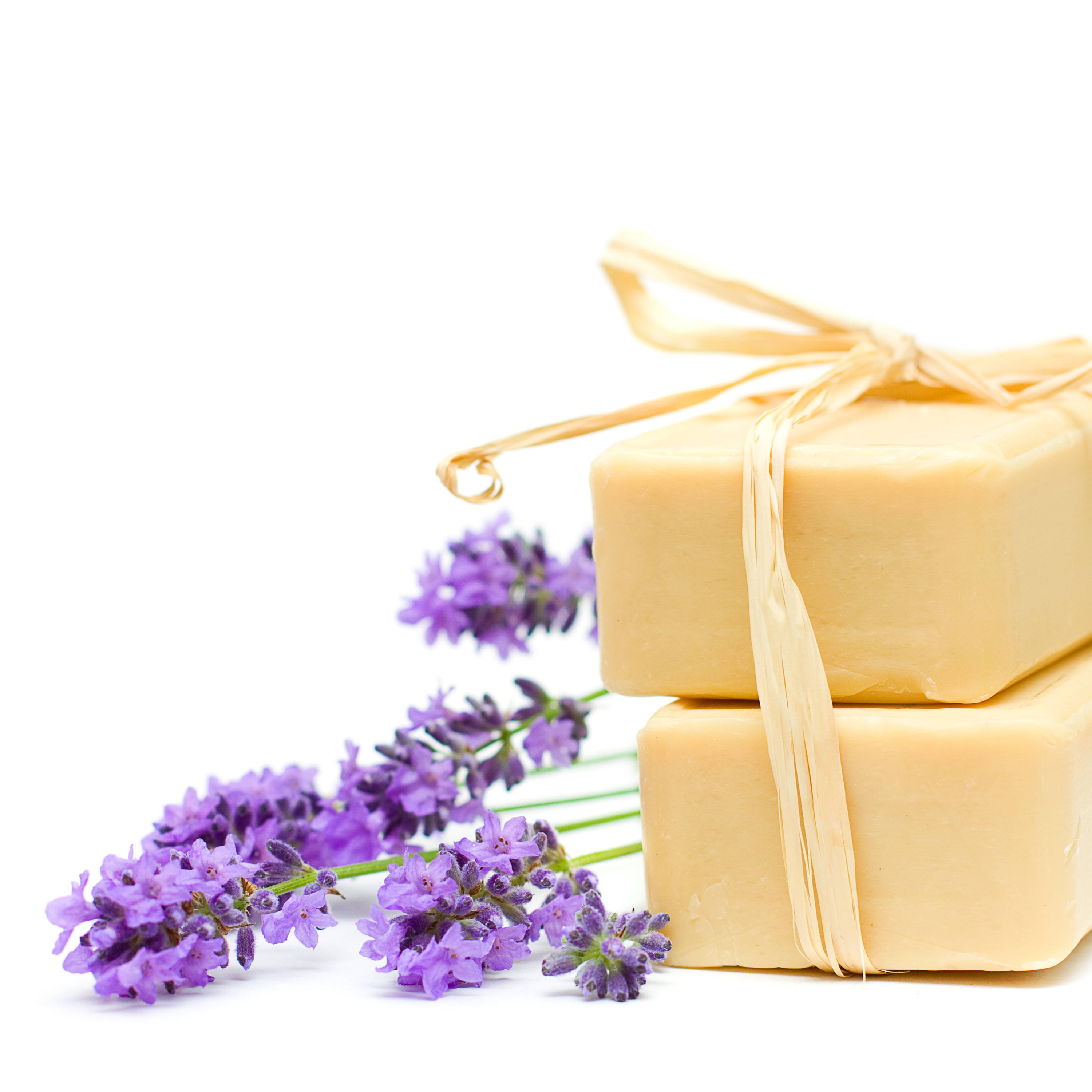 Mosquito Prevention Aroma Bricks 天然精油防蚊蟲香磚