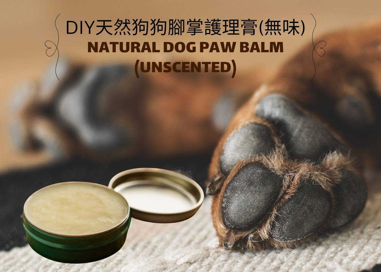 DIY天然狗狗腳掌護理膏 / 毛孩肉球修理配方 (無味) DIY Natural Dog Paw Balm / Paw Care Formula (Unscented)