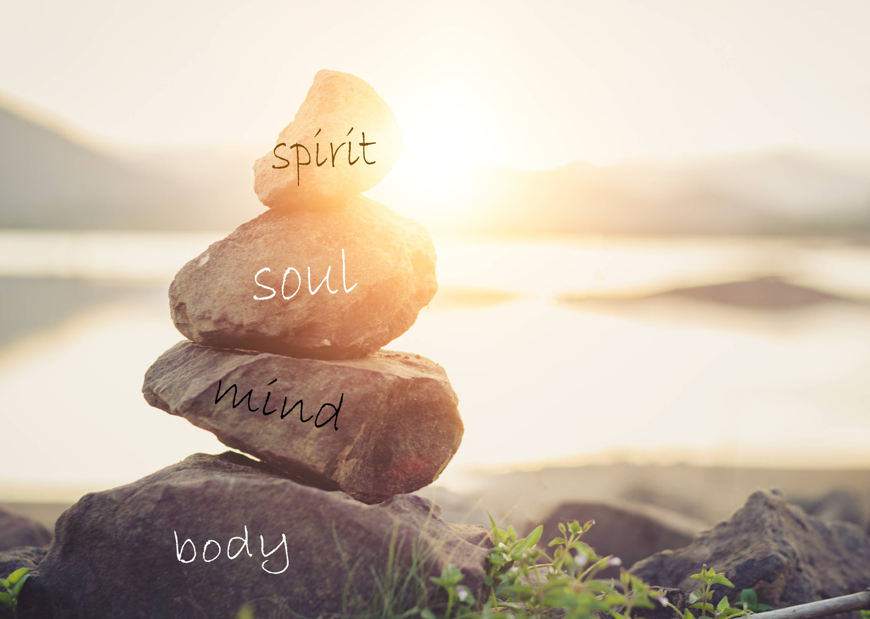 ใๅฟ้ๅฎ่กใๆด้ฆ็จ็ฒพๆฒนไน้ธ The Choice of Essential Oils for Diffusers for "Guarding spirit, soul, mind, body"