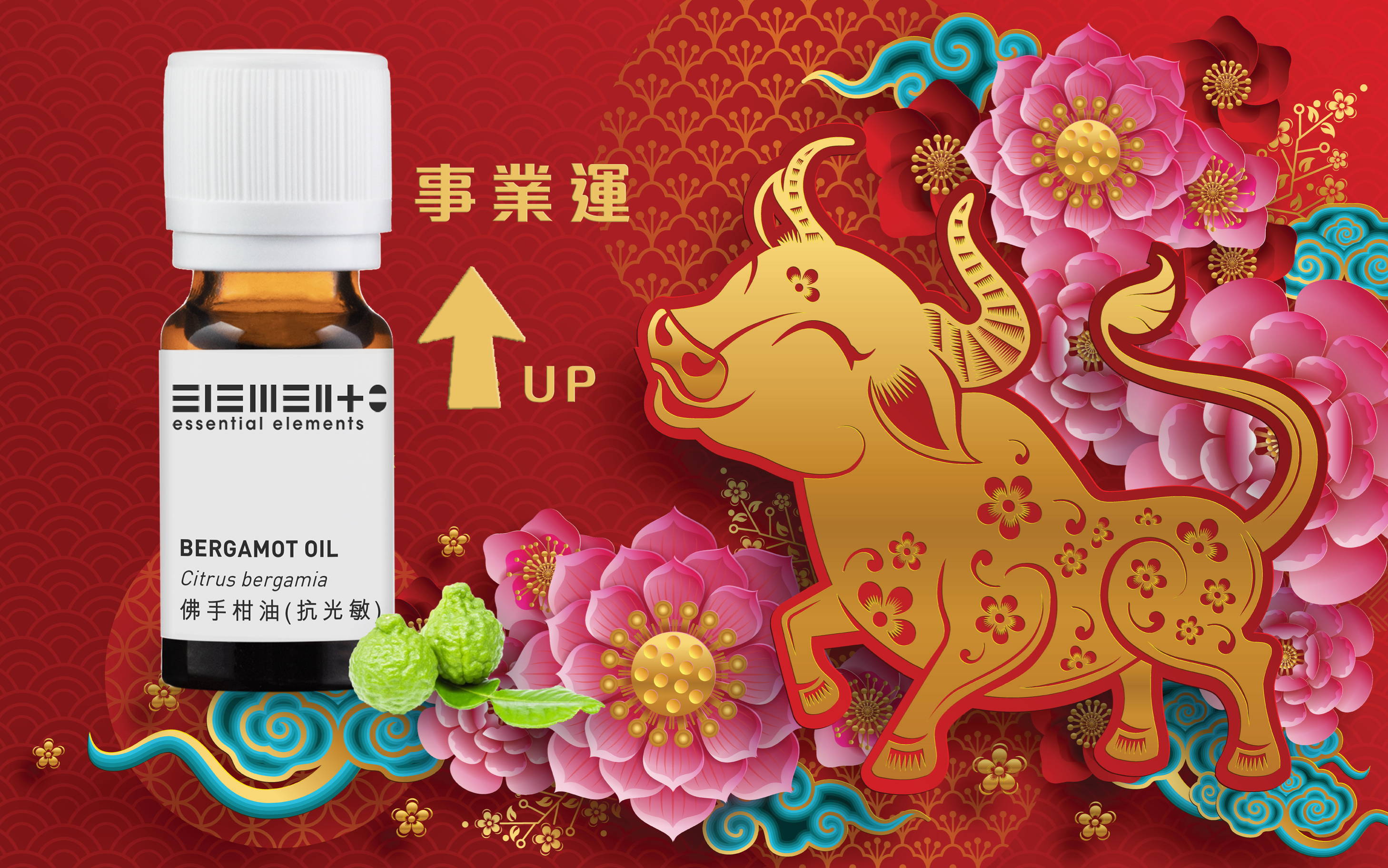 牛年提升工作力精油之選 - 佛手柑精油