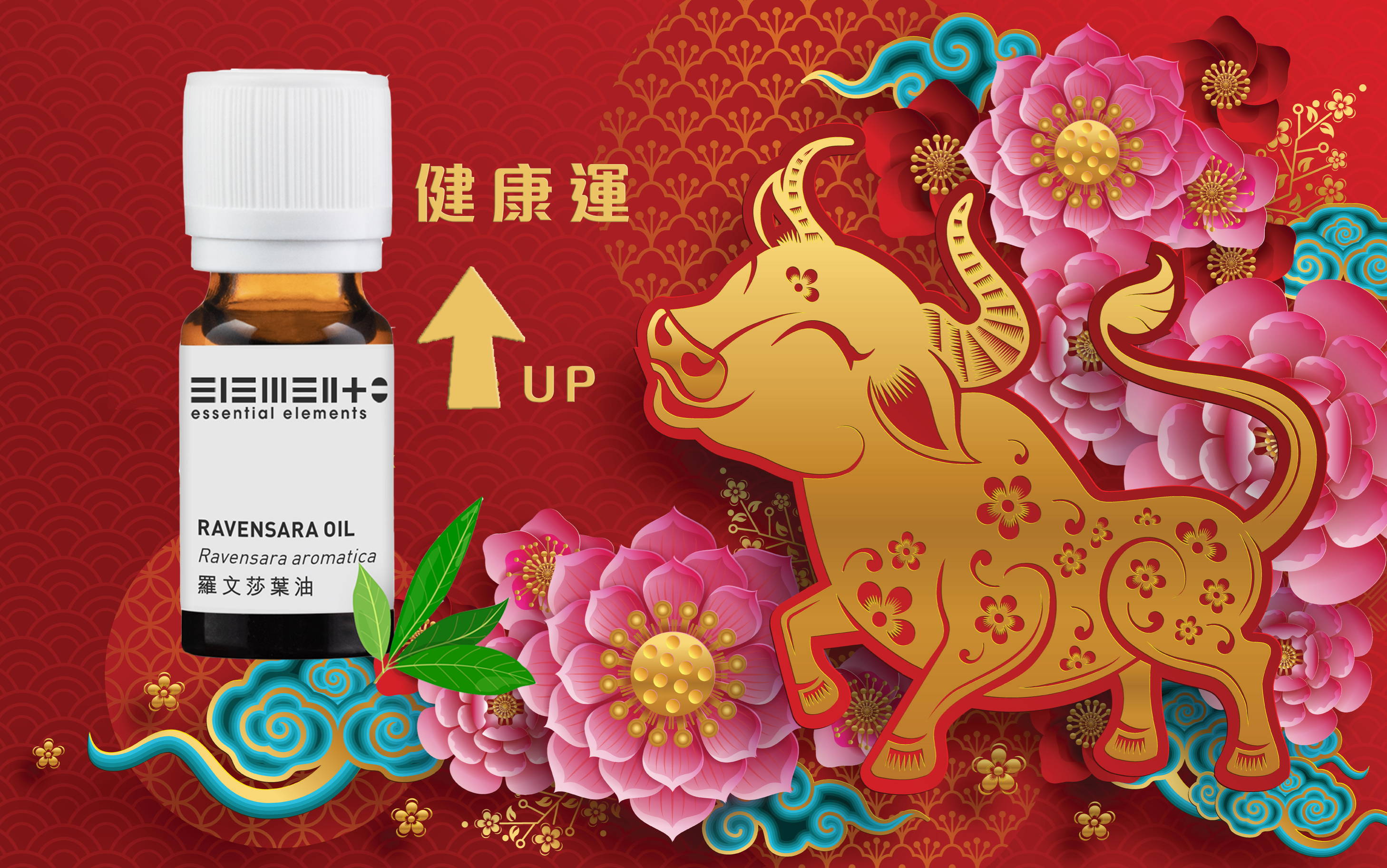 牛年提升健康免疫力精油之選 - 羅文莎葉精油