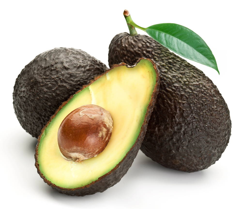 牛油果油護髮素/ 髮膜 Avocado Oil Hair Treatment