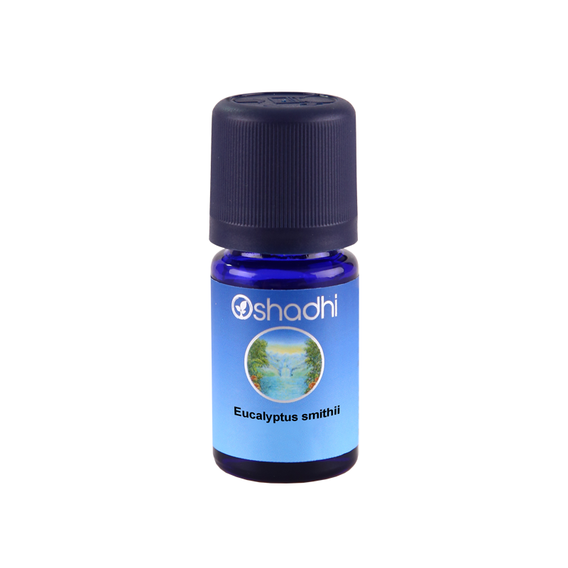 Oshadhi Organic Eucalyptus Smithii Oil