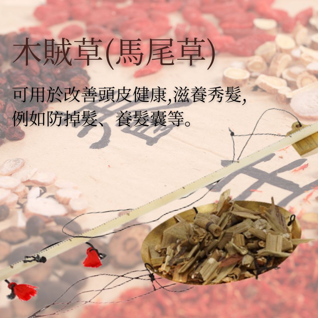 馬尾草萃取液 30毫升 - 美國