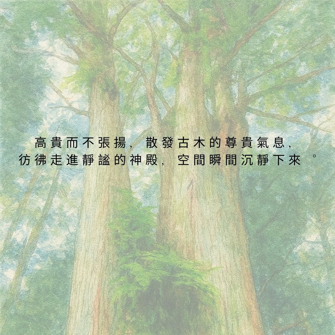 Taiwan Benihi Oil