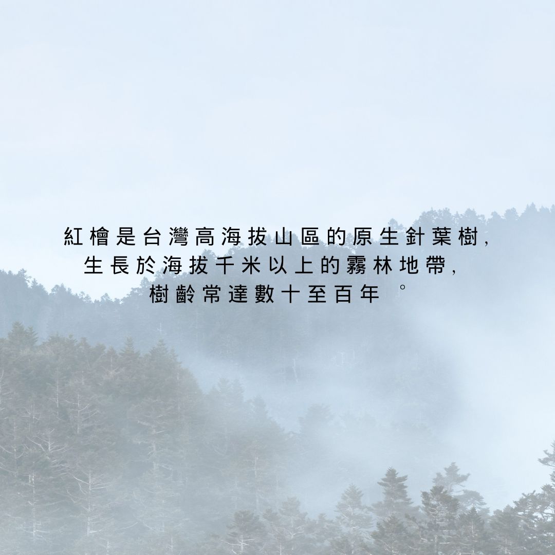 Taiwan Benihi Oil