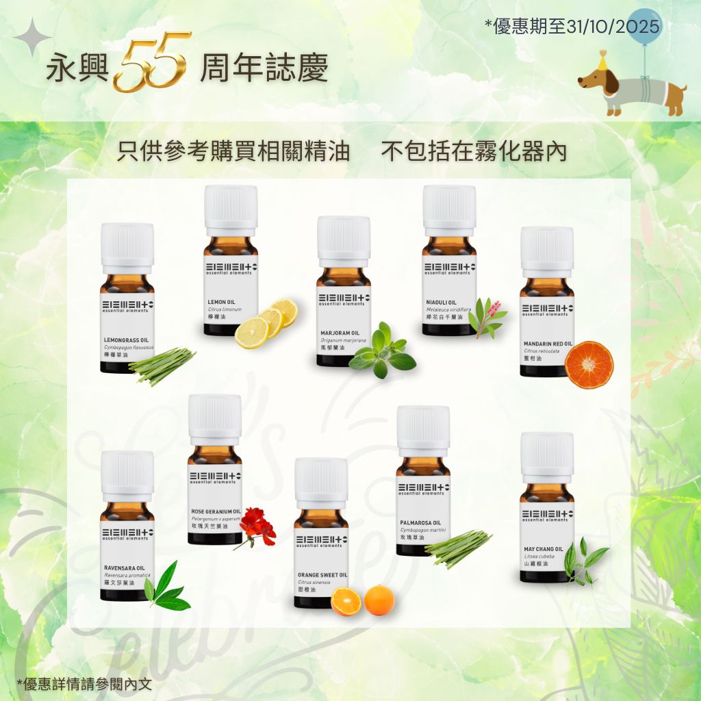 (只限購買5支精油換購) HK$295 雙噴頭香薰純油霧化器