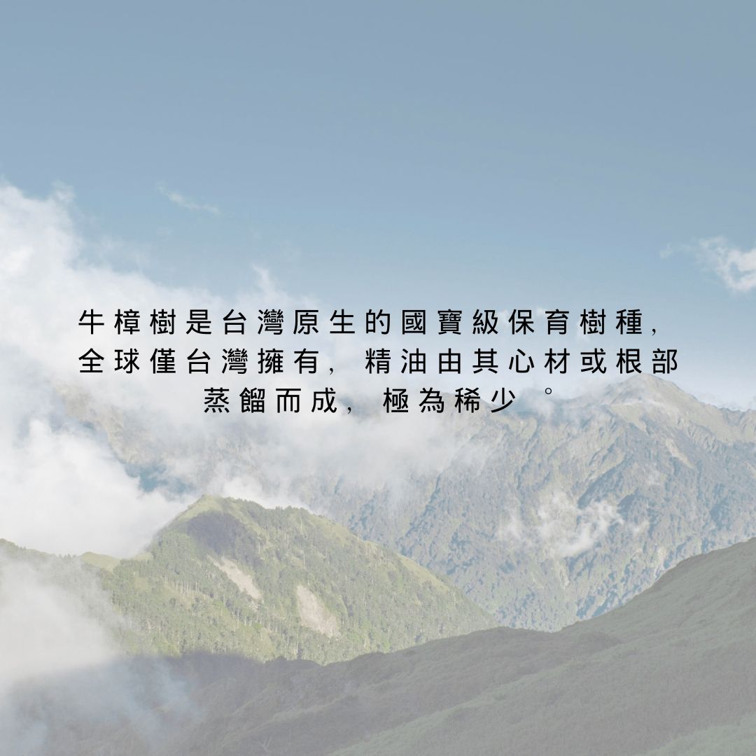 Taiwan Stout Camphor Oil