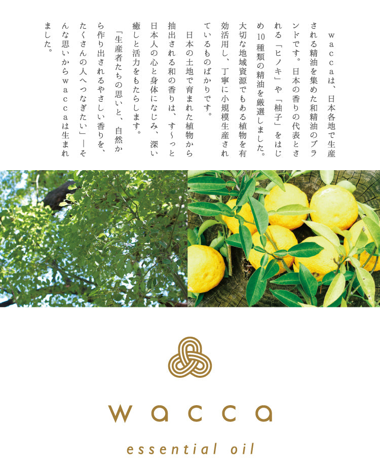 wacca 日本黑文字（大葉釣樟）精油