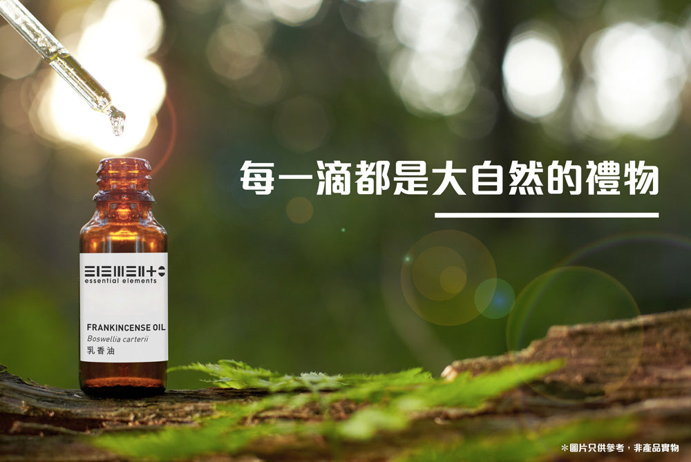 尤加利精油