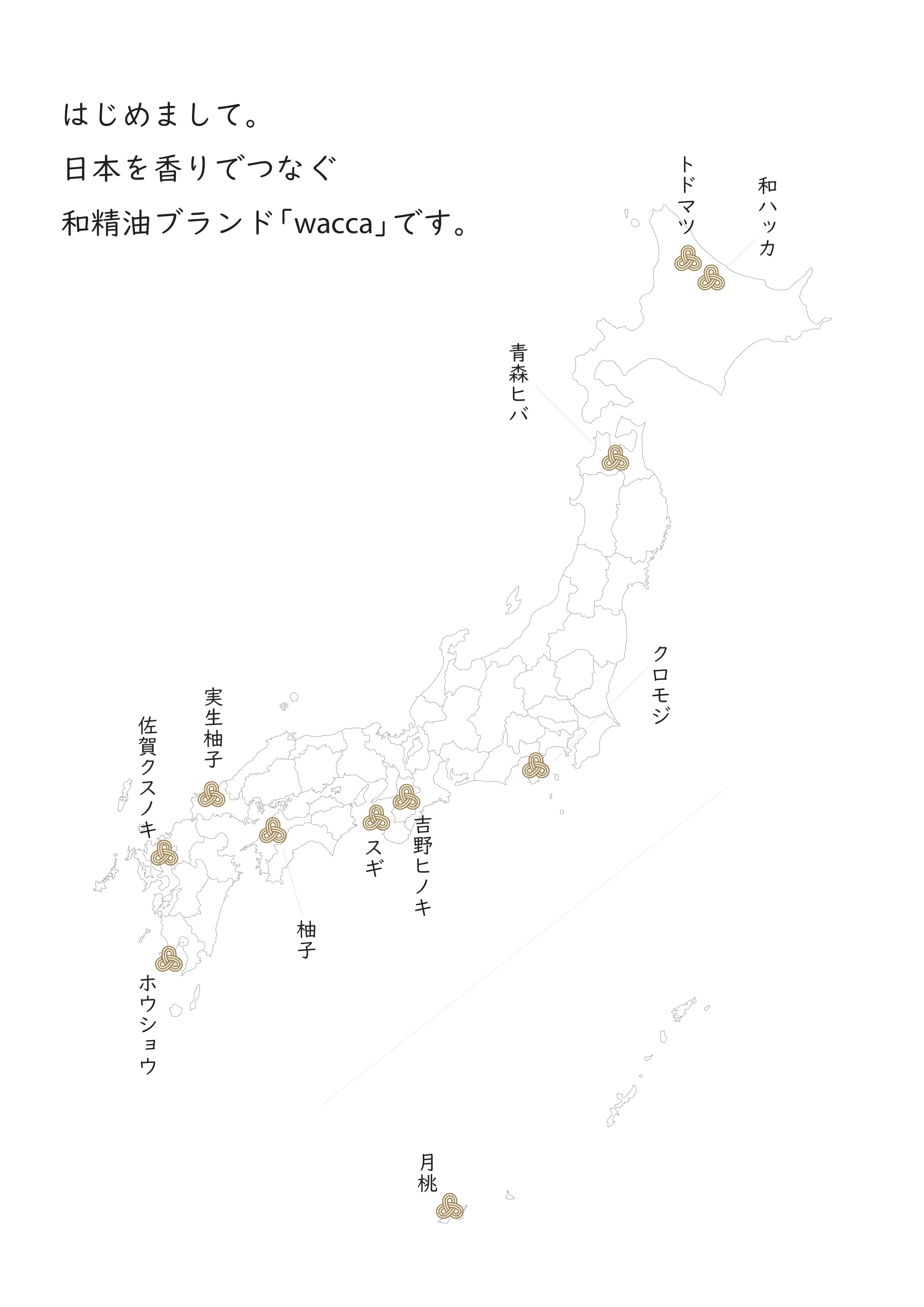 wacca 日本北海道椴松精油 (最佳使用期: 07/2024)