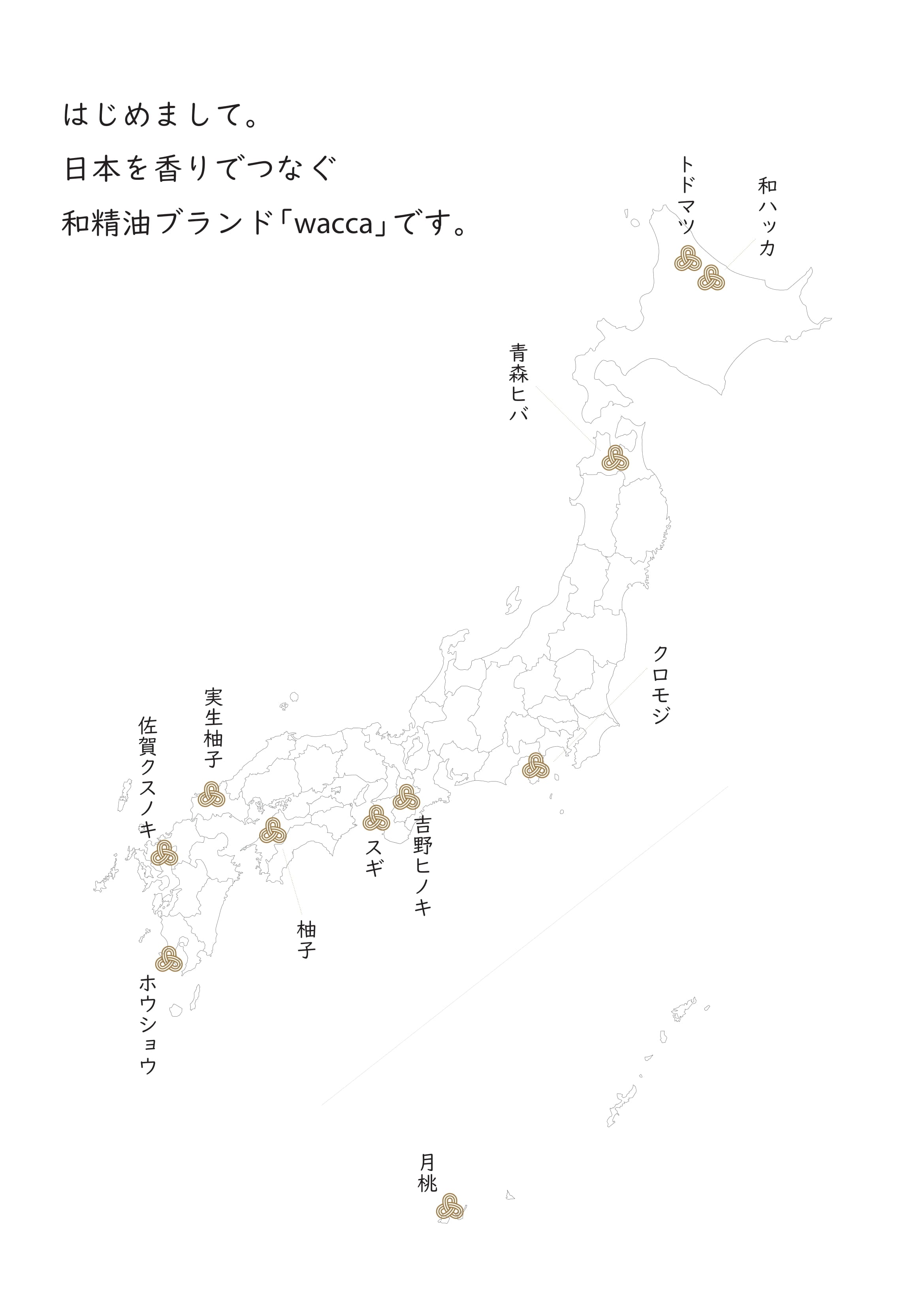 wacca 日本佐賀楠木精油