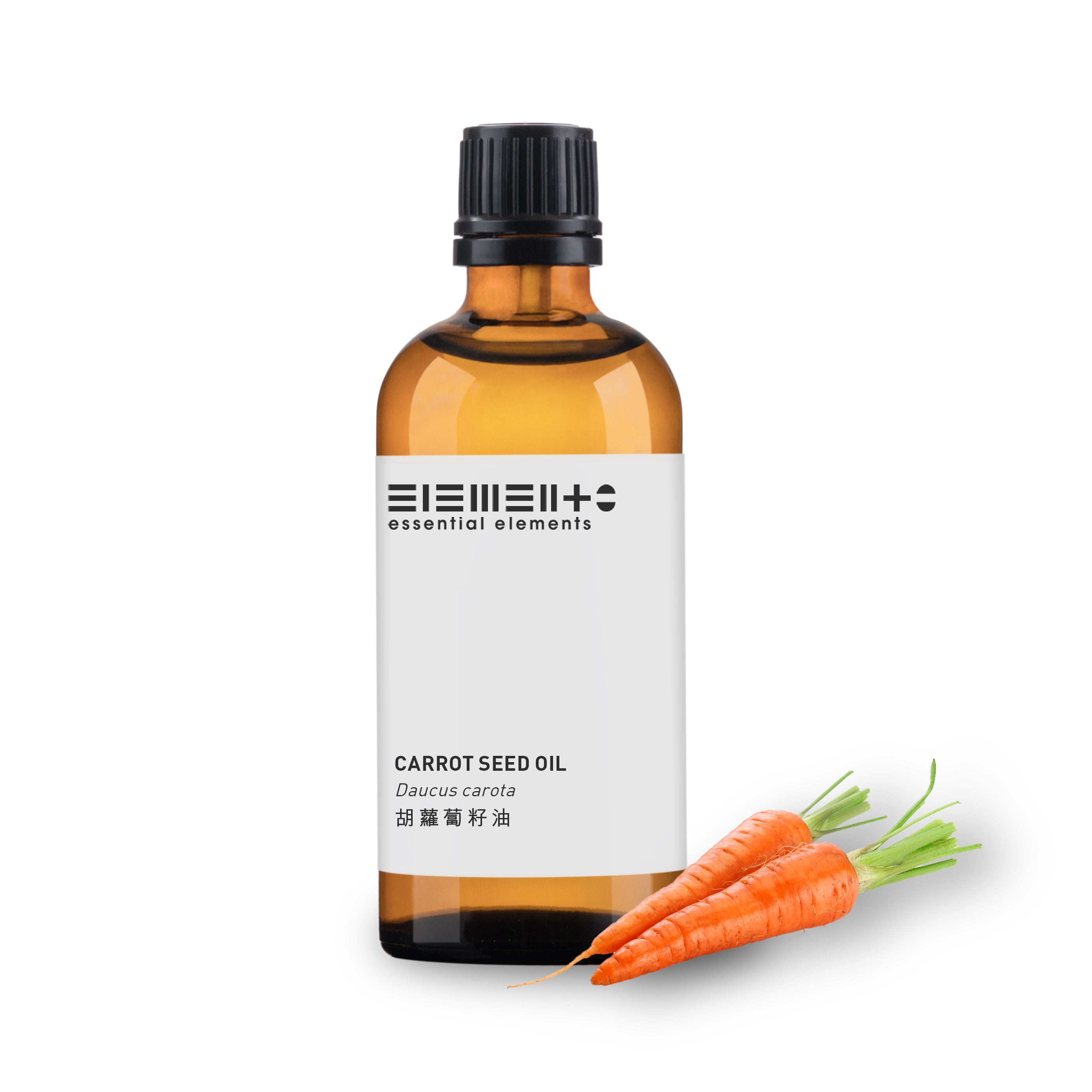 Carrot Seed Oil (BEST BEFORE: 02/2026)