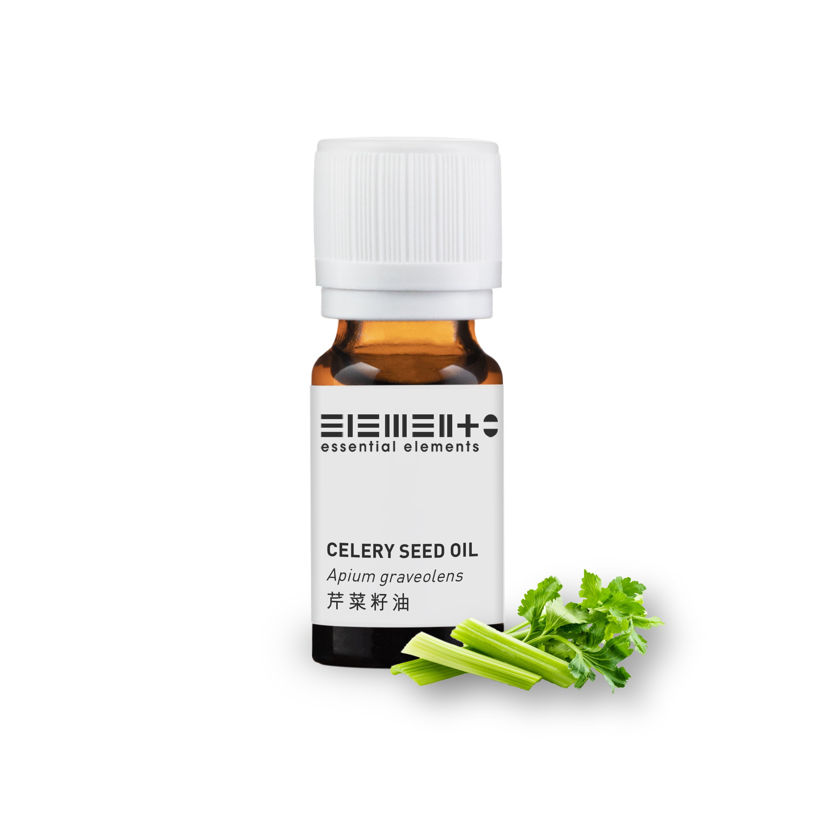 Celery Seed Oil (BEST BEFORE: 01/2026)