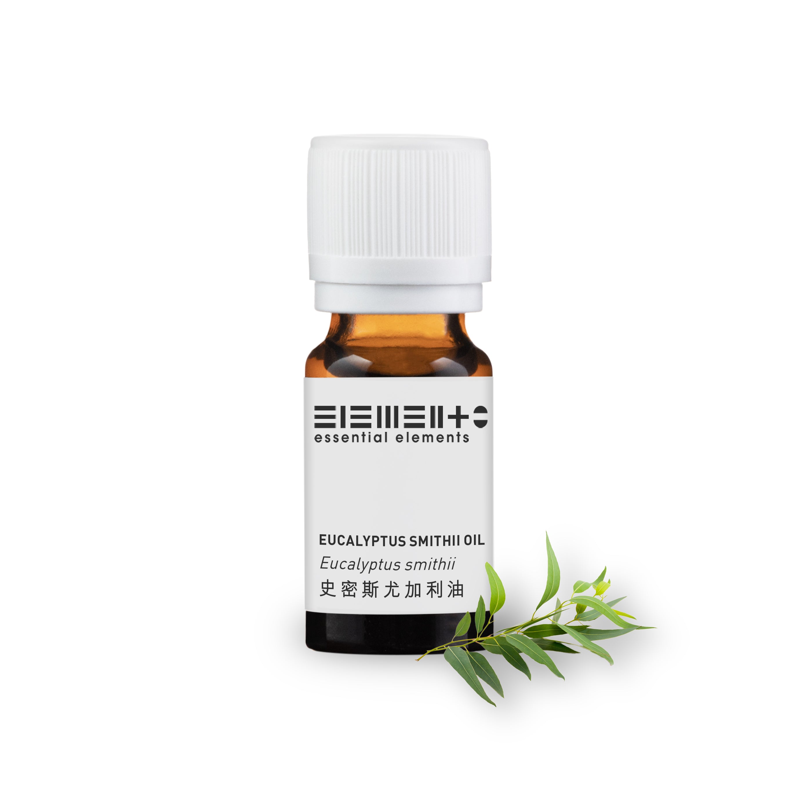 Eucalyptus Oil (Smithii)