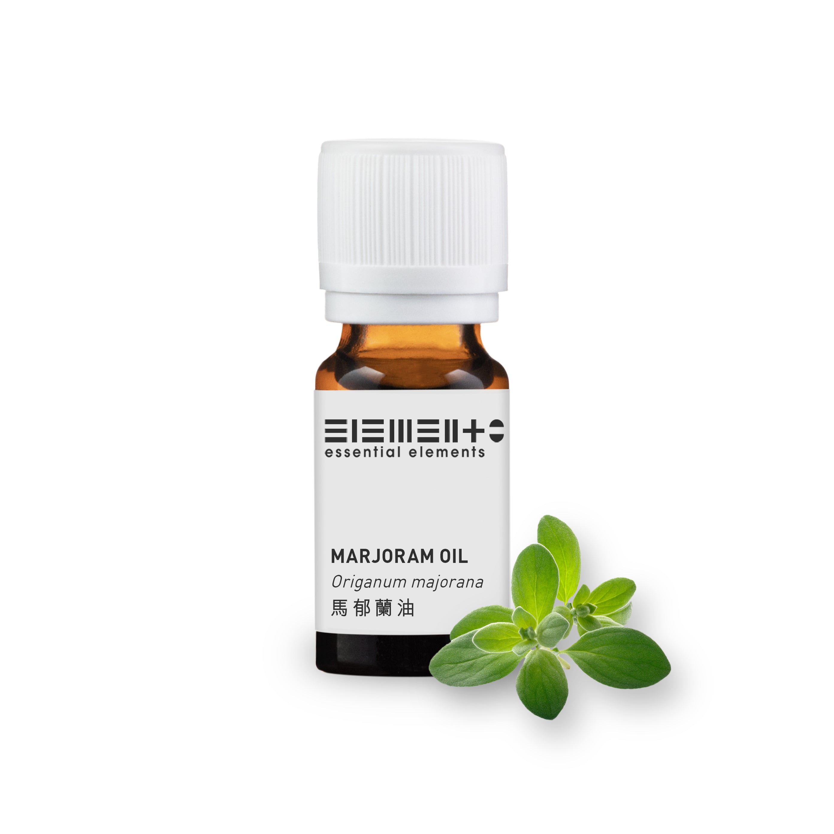 馬郁蘭/ 馬鬱蘭精油