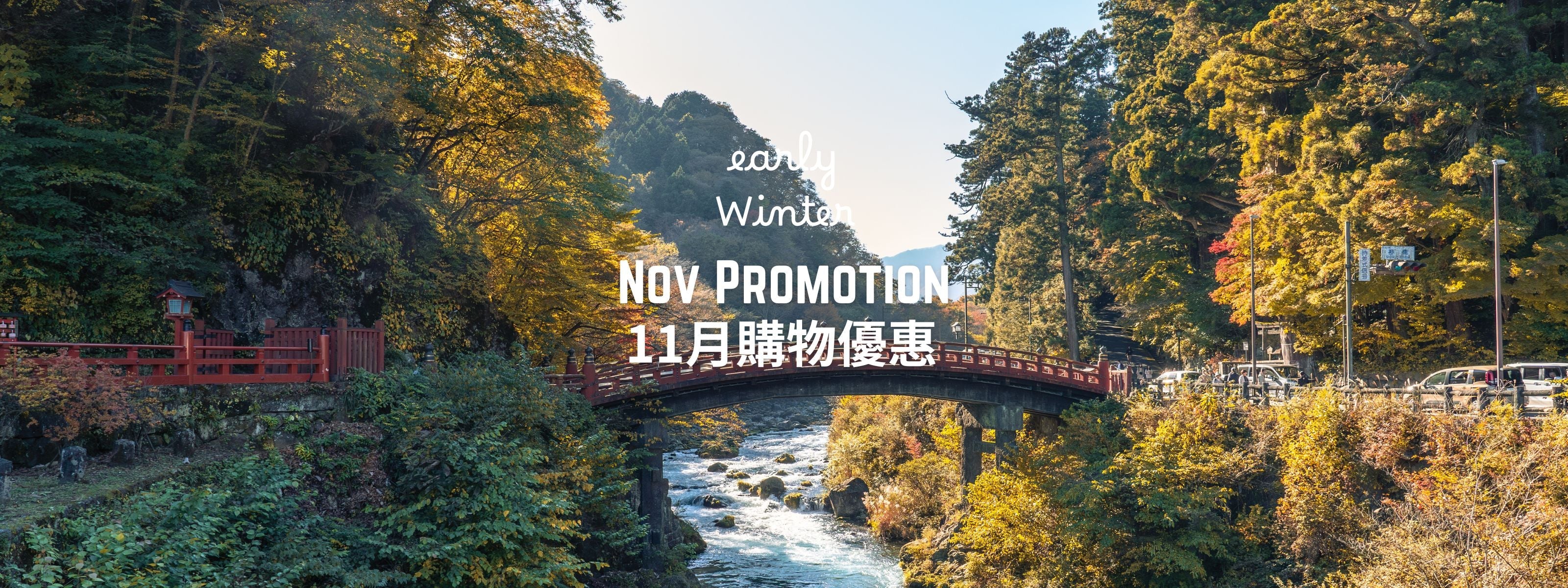 Nov Shopping Promotion