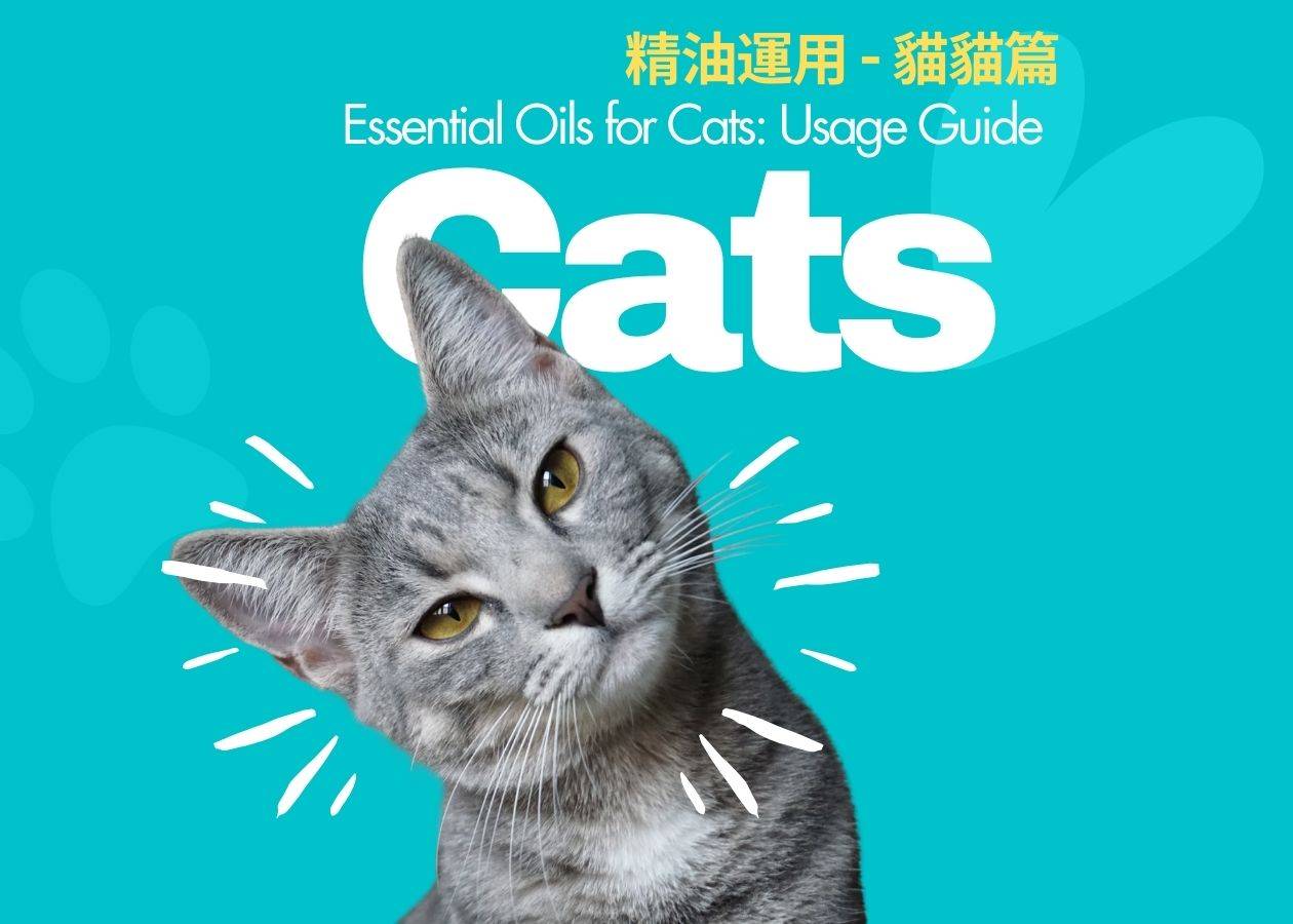 精油運用 - 貓貓篇  Essential Oils for Cats: Usage Guide