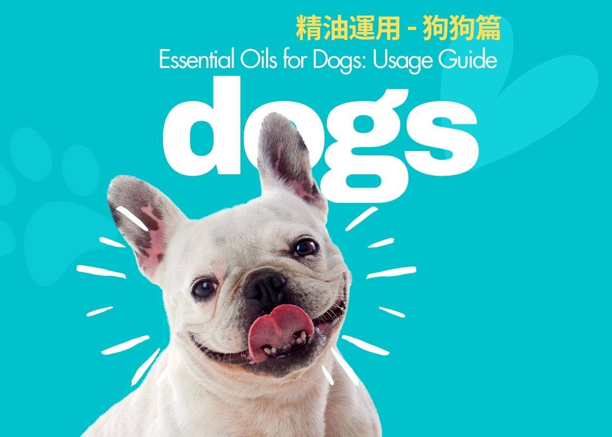 精油運用 - 狗狗篇  Essential Oils for Dogs: Usage Guide