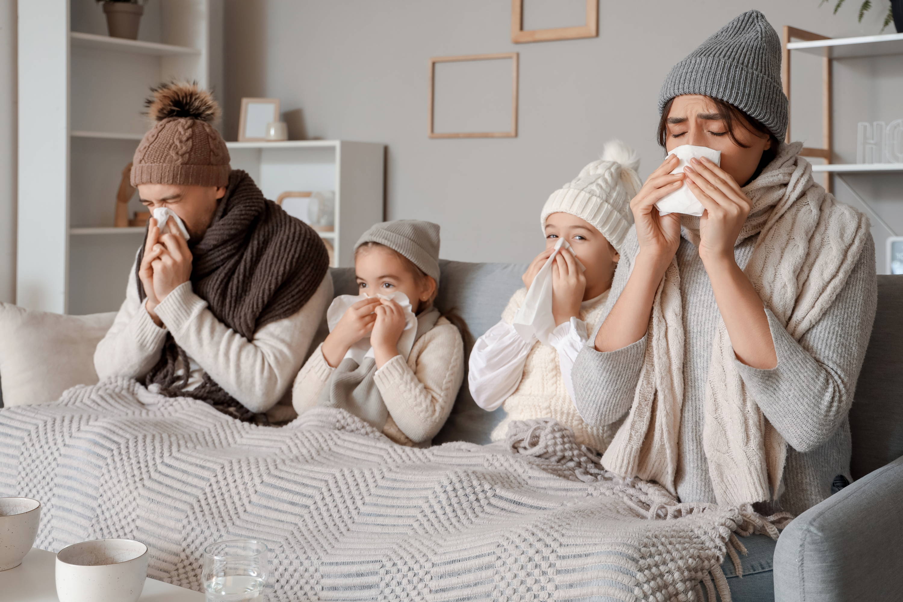 流感高峰期  精油之選 essential oil of choice for flu season