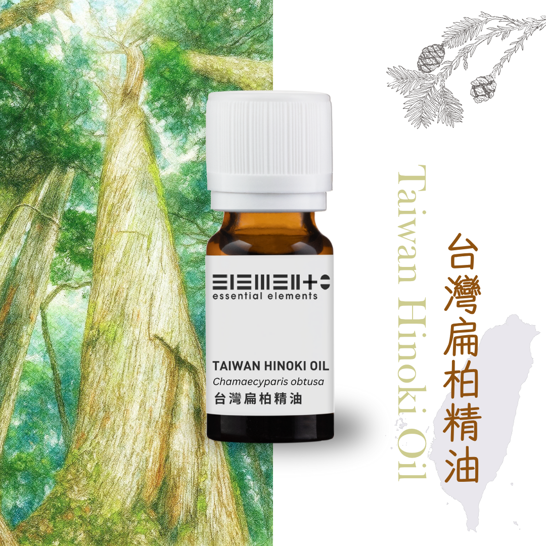 Taiwan Hinoki Oil (Red Cypress)