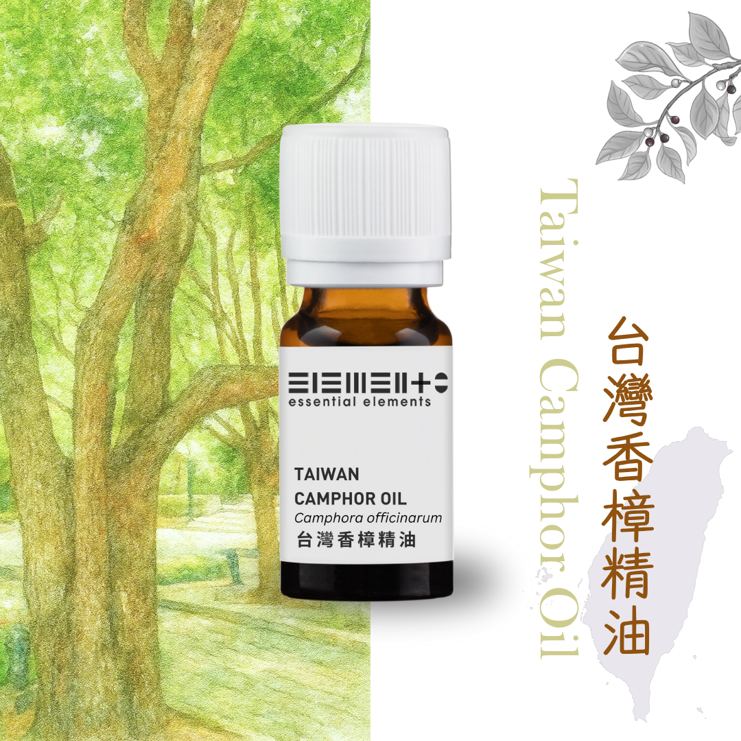 Taiwan Camphor Oil