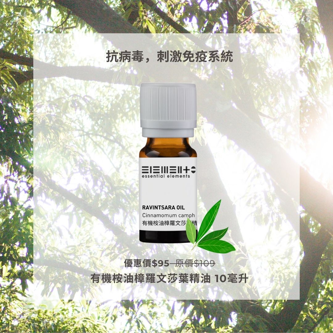 有機桉油樟羅文莎葉精油