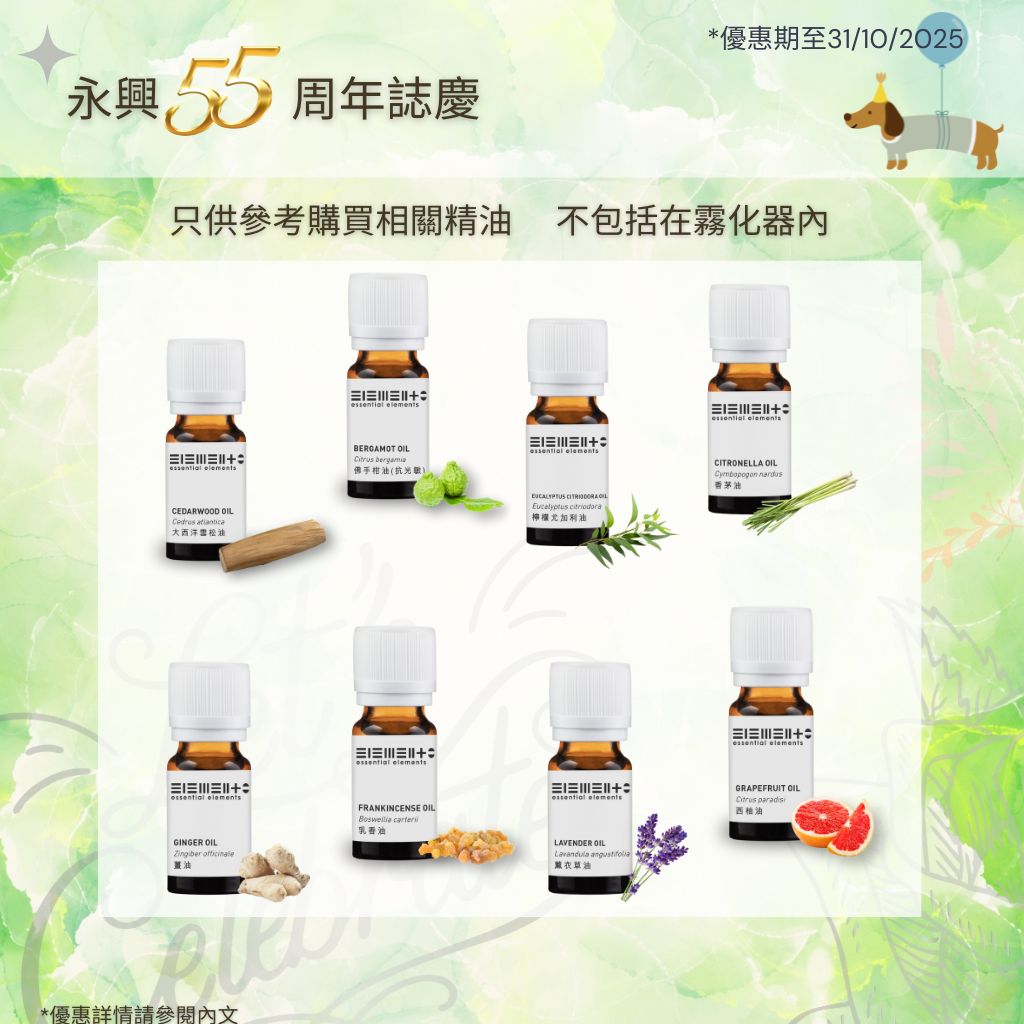 (只限購買5支精油換購) HK$295 雙噴頭香薰純油霧化器