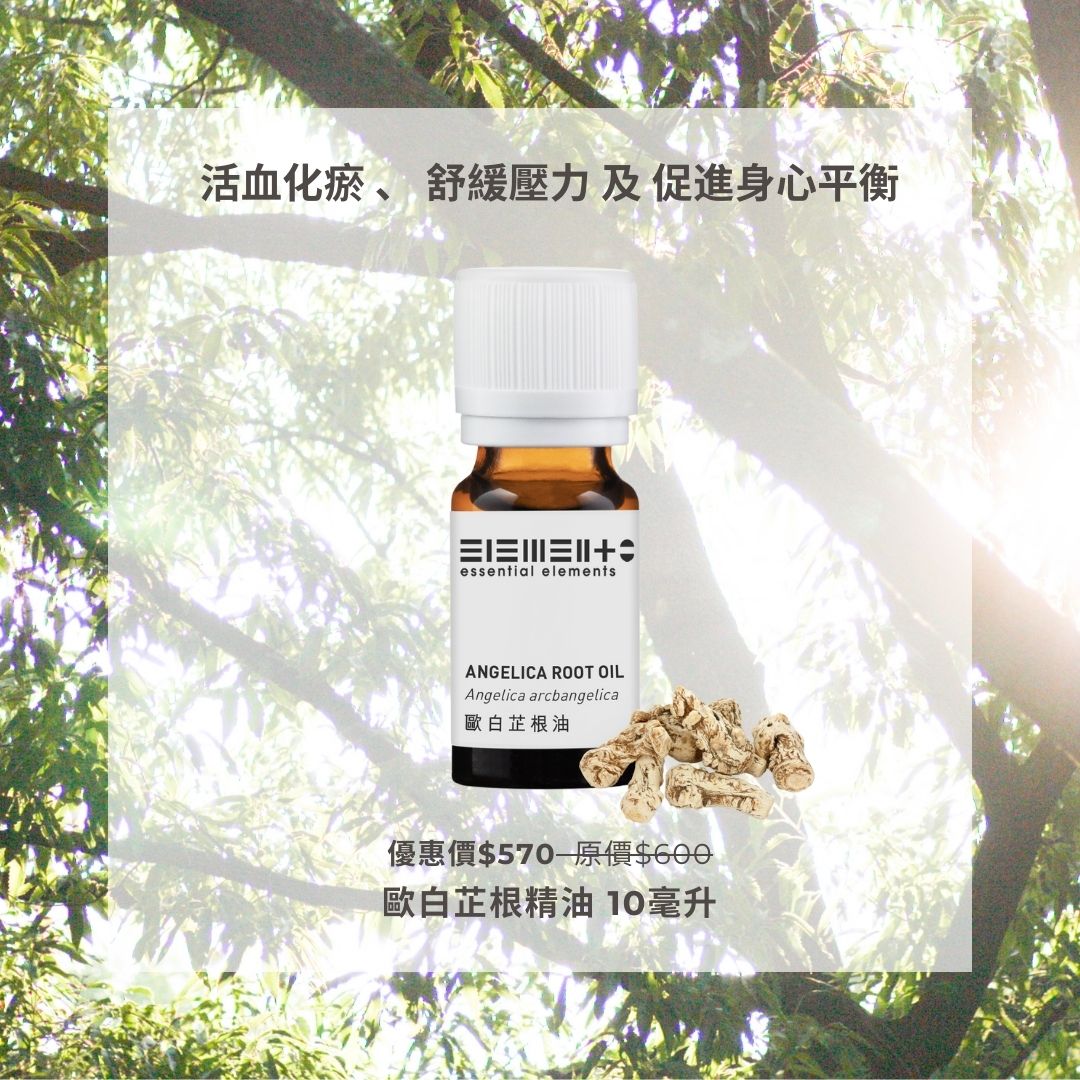 歐白芷根精油