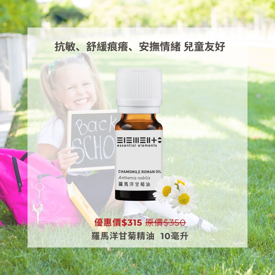 羅馬洋甘菊精油