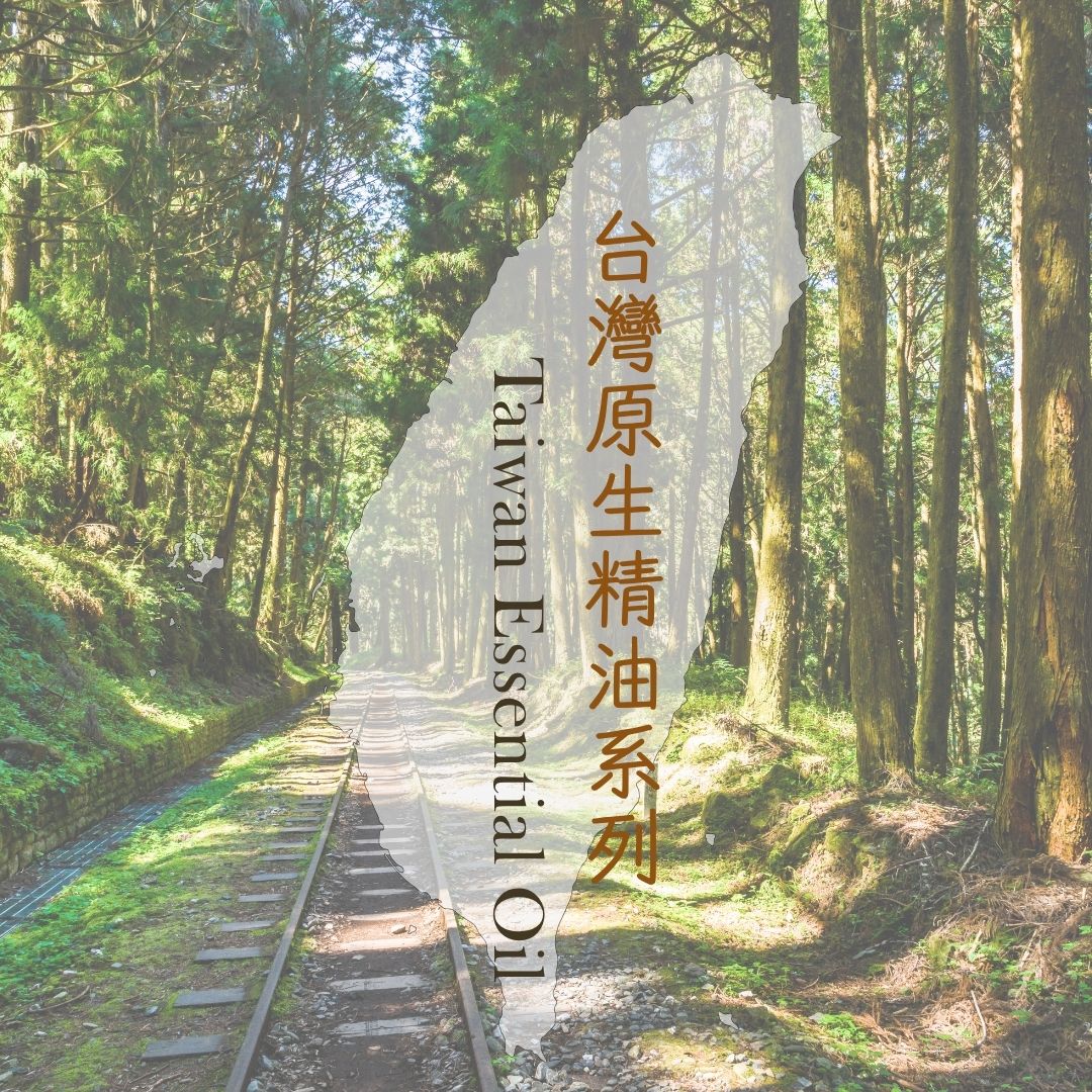 Taiwan Hinoki Oil (Red Cypress) 100ml