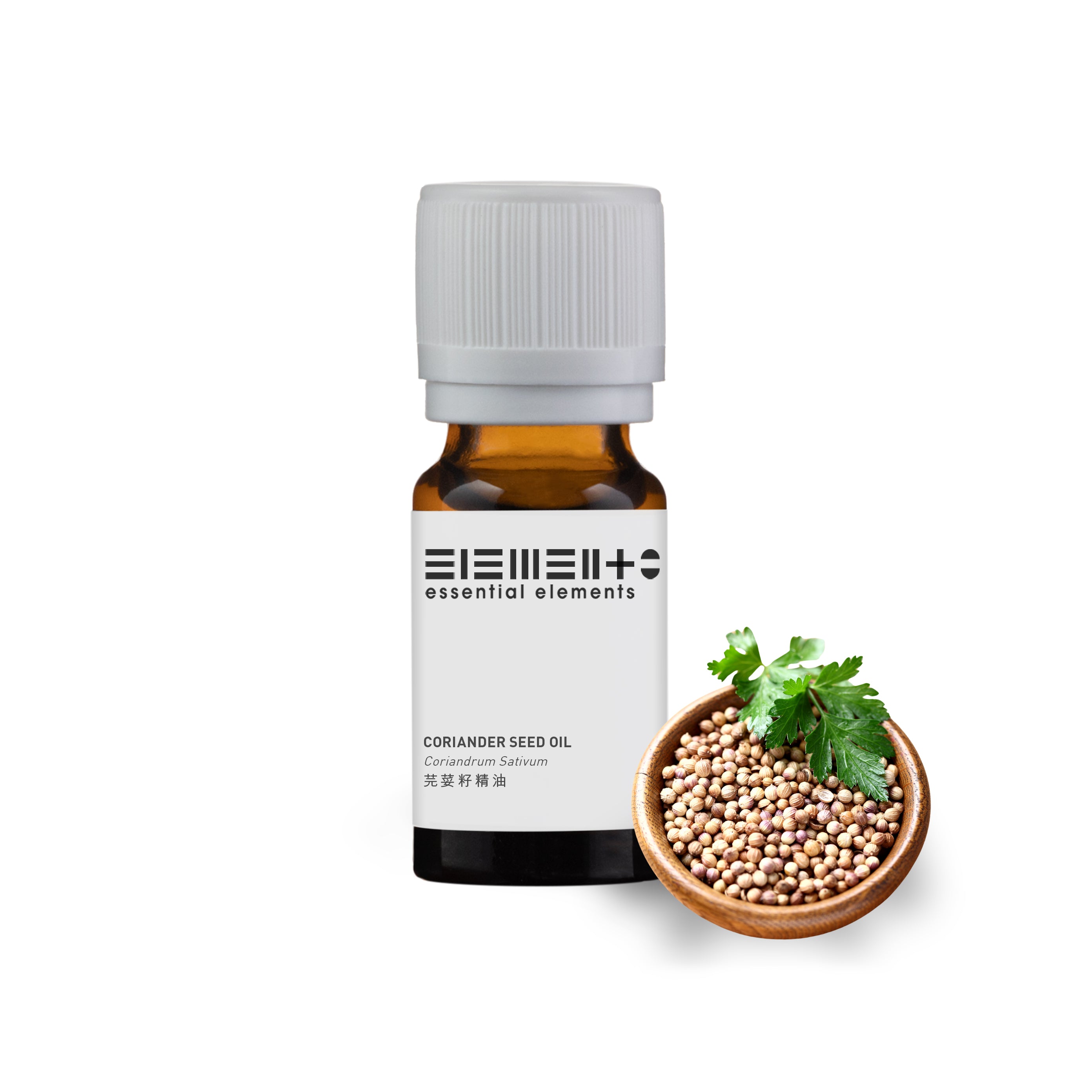 Coriander Seed Oil