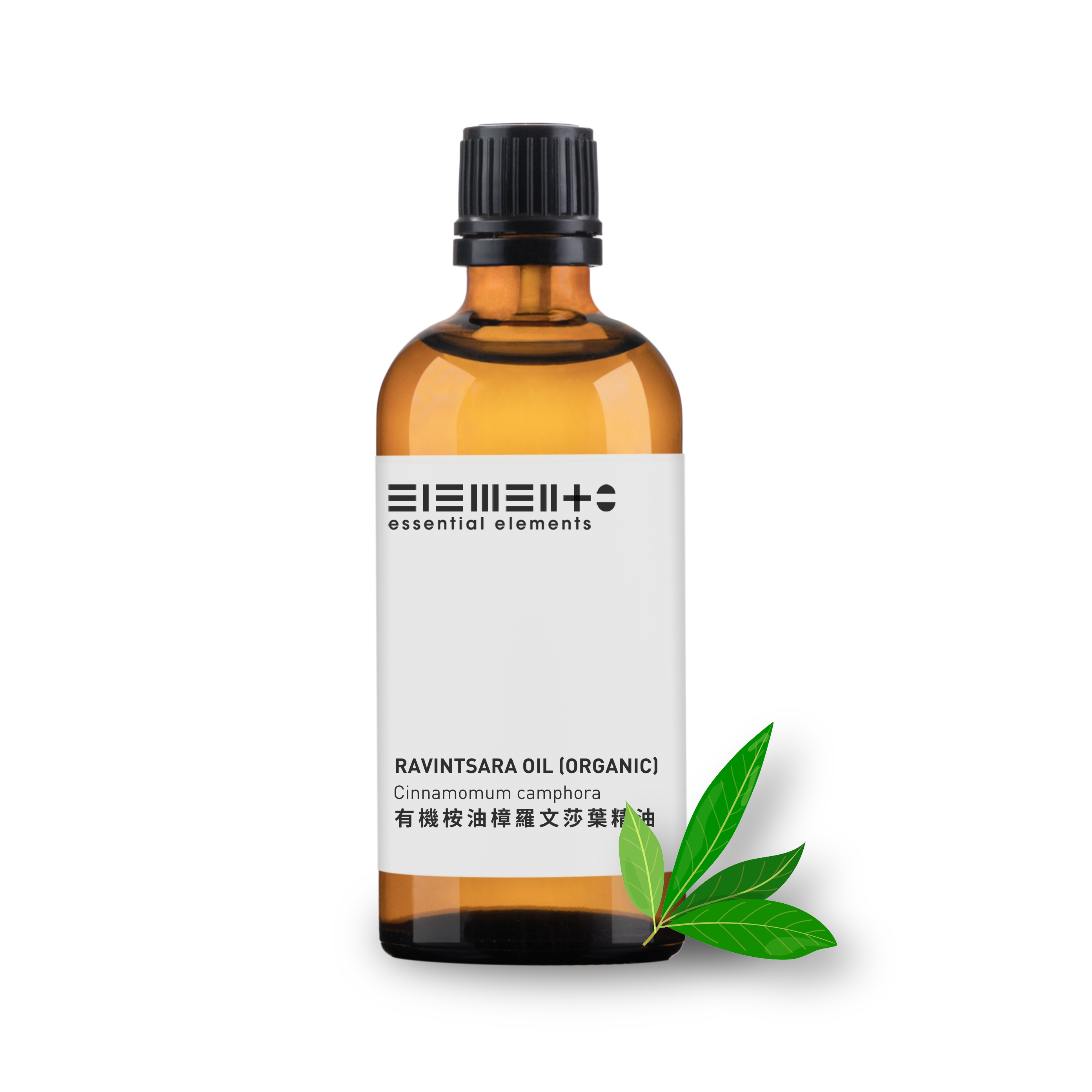 Organic Ravintsara Oil