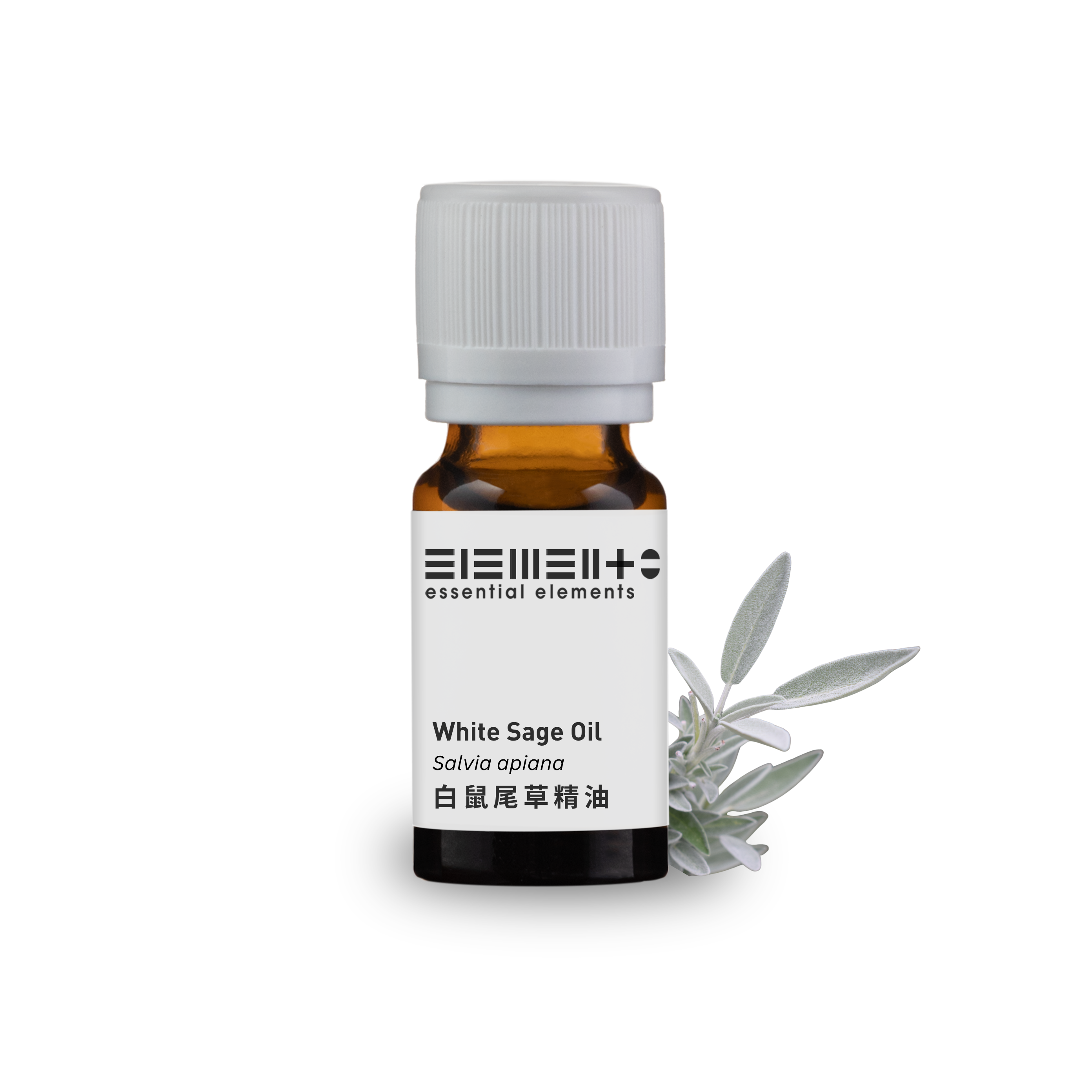 白鼠尾草精油 10ml - 適用於空間淨化與冥想擴香