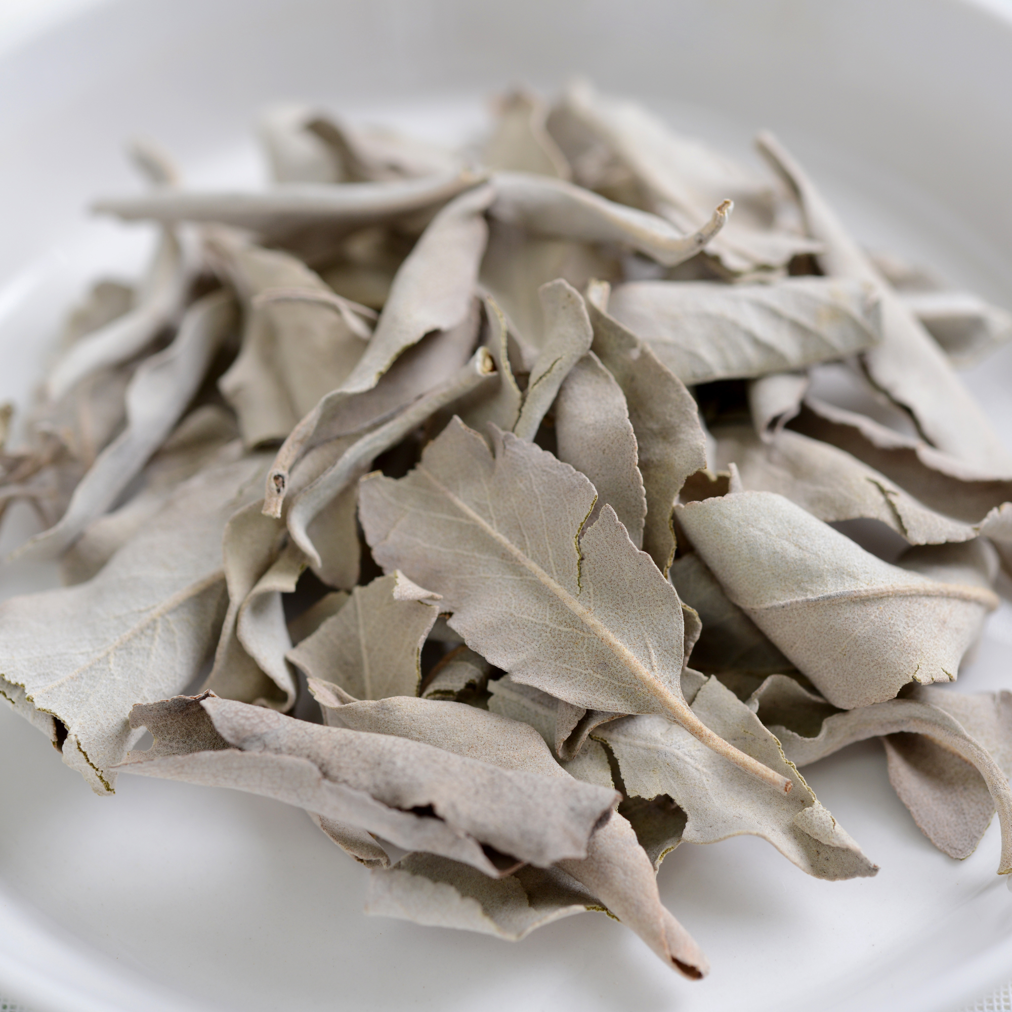 white sage essential oil hk